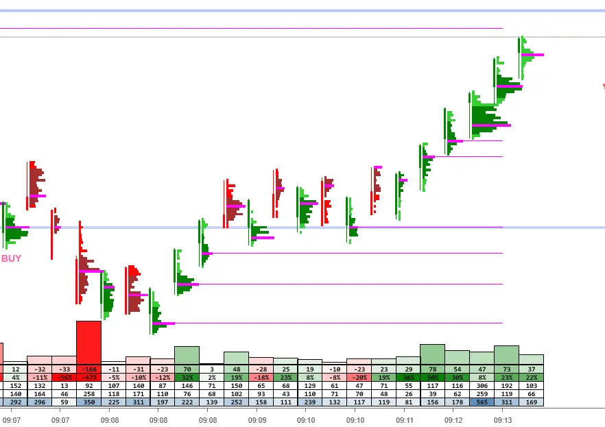 PJS Profile bars – Easy order flow  for NinjaTrader 8